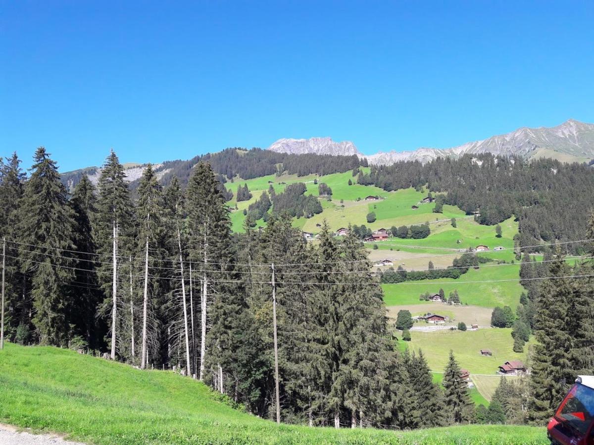 Ferien In Der Bergwelt Von Adelboden Bed & Breakfast Екстериор снимка